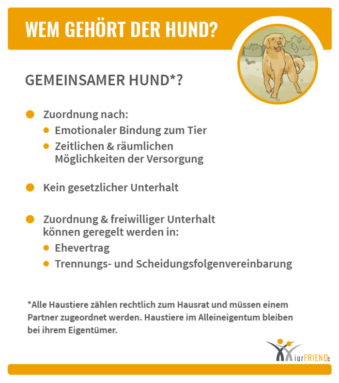 iurFRIEND Schaubild: Wem Gehört der Hund
